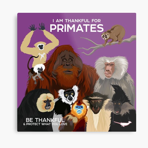 I Am Thankful For Primates Metal Print