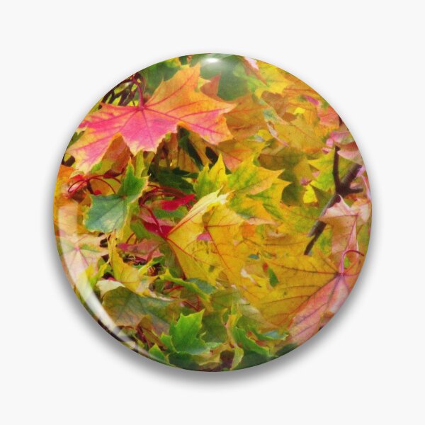 Artikelvorschau, bunte Blätter im Herbst an einem Laub Baum entworfen und verkauft von rhnaturestyles.