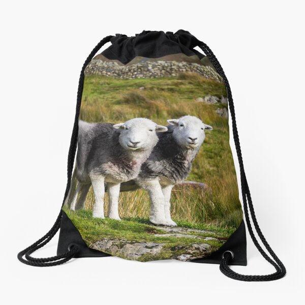 Item preview, Herdwick Sheep Landscape designed and sold by JStanley19.