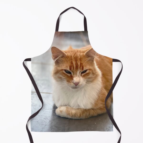 Item preview, Young reverent red-haired cat designed and sold by AHELENE.