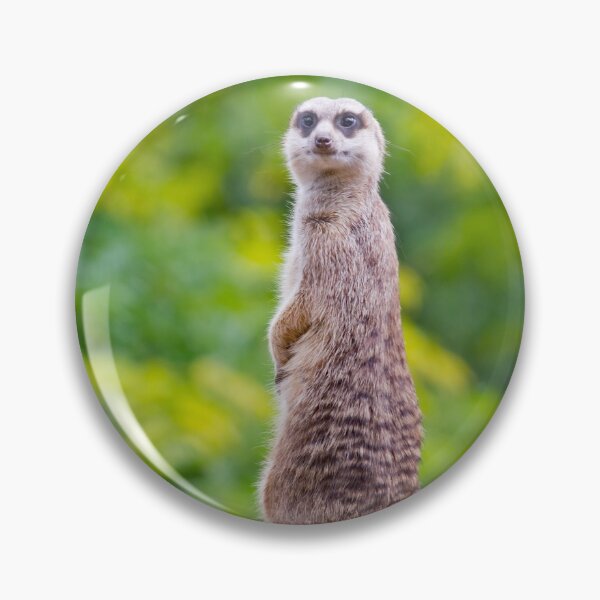 Item preview, The watchman on guard designed and sold by yackers1.