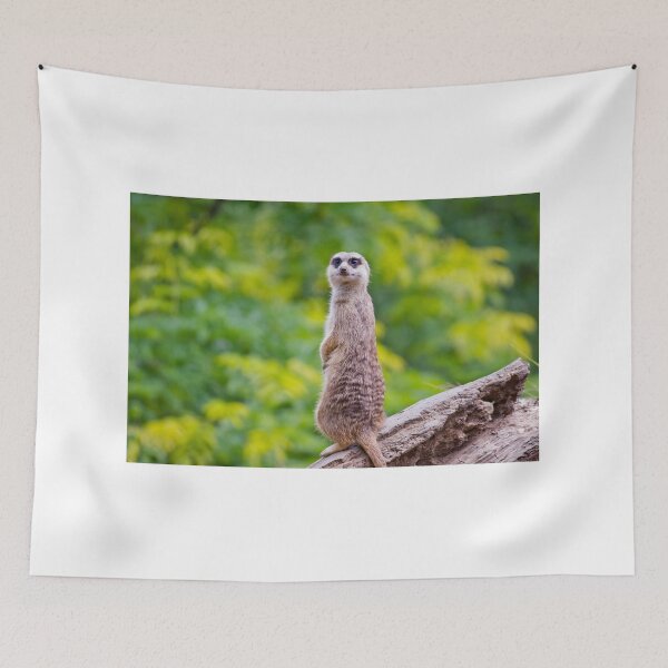 Item preview, The watchman on guard designed and sold by yackers1.
