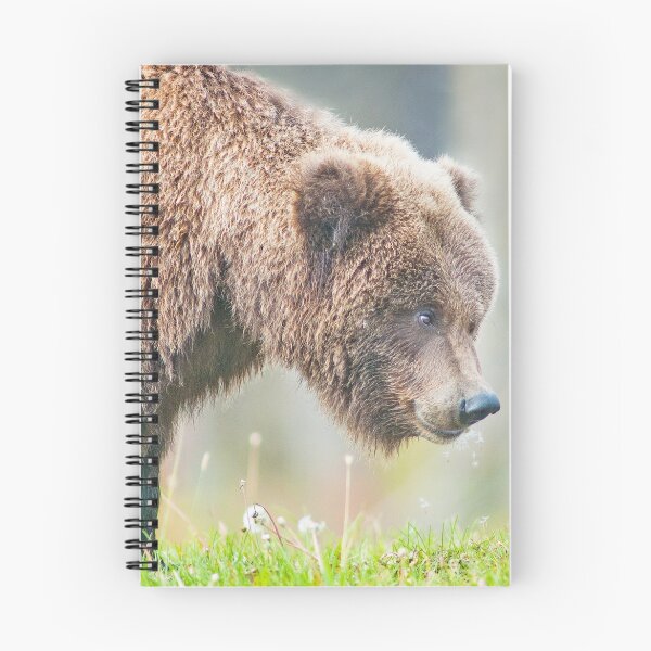 Item preview, Alaskan Brown Bear Sniffs Dandelion designed and sold by TheCurators.