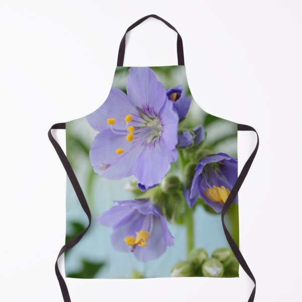 Item preview, Polemonium 'Blue Pearl' Jacob's ladder designed and sold by Chris Burrows.