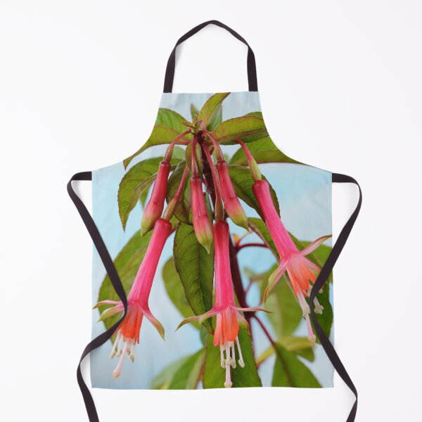 Item preview, Fuchsia denticulata AGM designed and sold by Chris Burrows.
