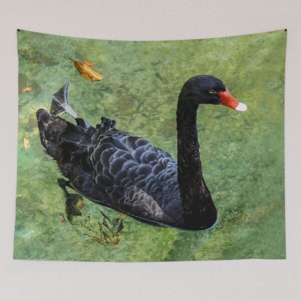 Item preview, Swimming, Left Foot, Right Foot!  designed and sold by heatherfriedman.