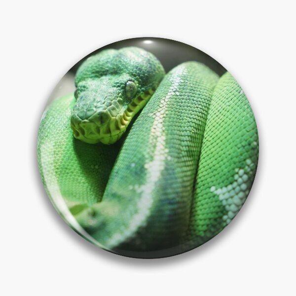Item preview, Green Tree Python designed and sold by Kohiru.
