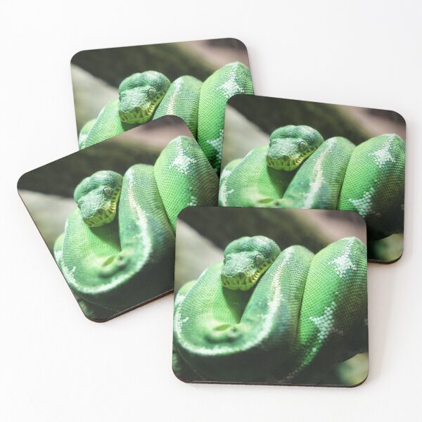Item preview, Green Tree Python designed and sold by Kohiru.