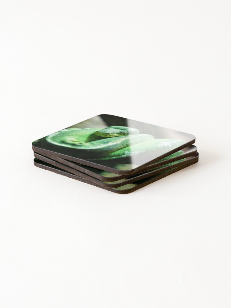 Thumbnail 4 of 5, Coasters (Set of 4), Green Tree Python designed and sold by Kohiru.