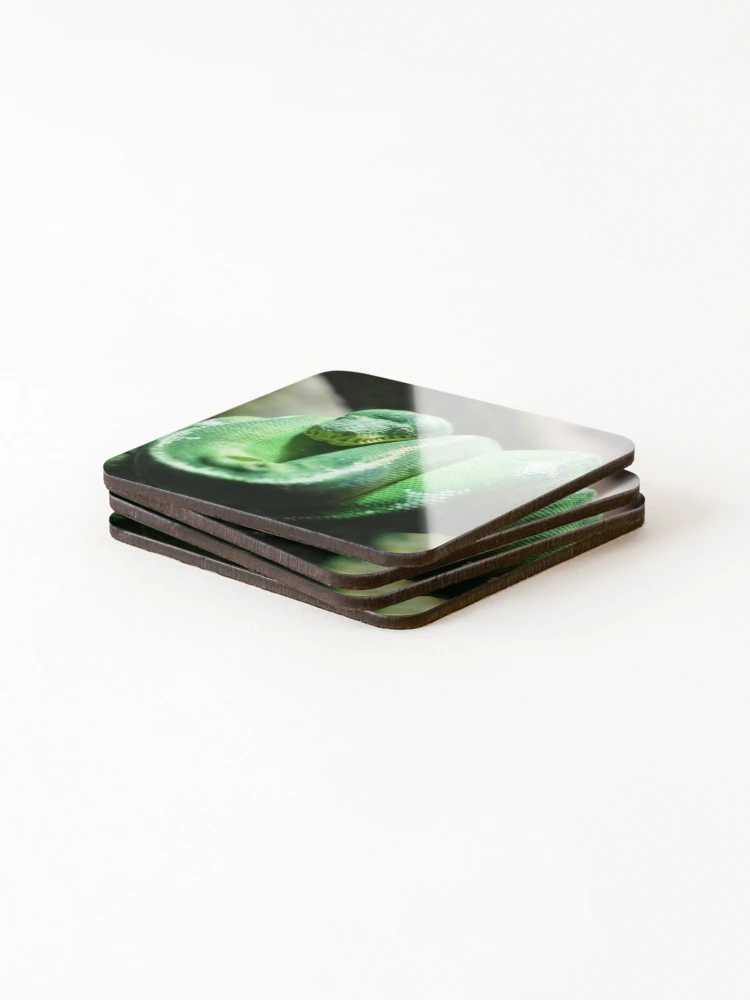 Thumbnail 4 of 5, Coasters (Set of 4), Green Tree Python designed and sold by Kohiru.