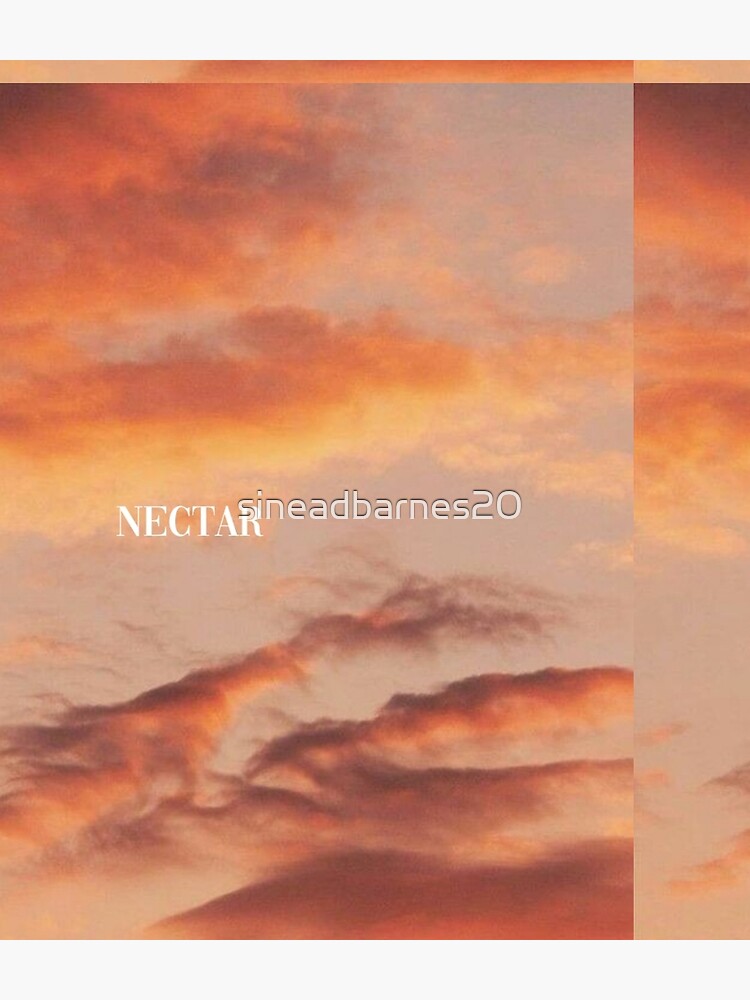 joji nectar by sineadbarnes20