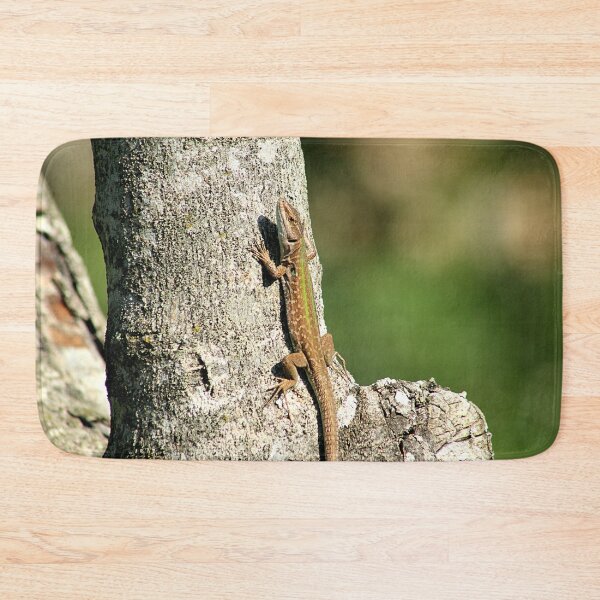 Item preview, Lizard Sunning on Tree Branch designed and sold by worldways.