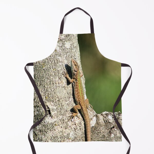 Item preview, Lizard Sunning on Tree Branch designed and sold by worldways.