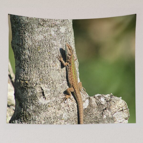 Item preview, Lizard Sunning on Tree Branch designed and sold by worldways.