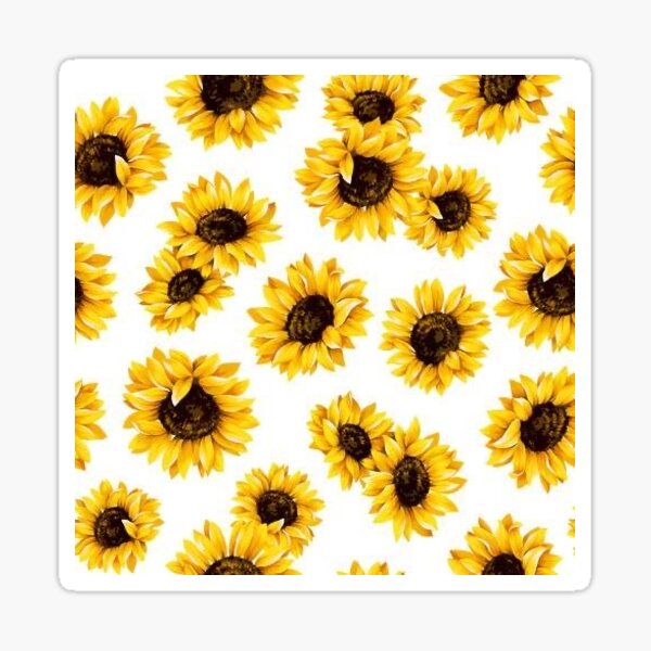 Mundo girasol Sticker