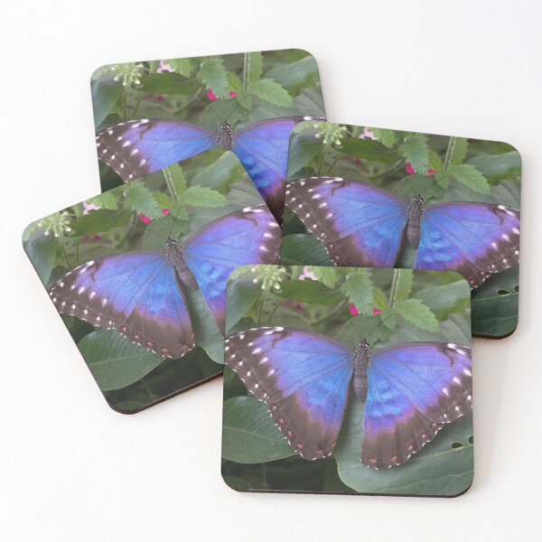 Item preview, Blue morpho butterfly designed and sold by pietrofoto.