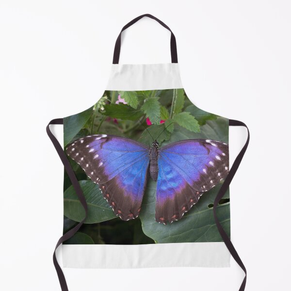 Item preview, Blue morpho butterfly designed and sold by pietrofoto.