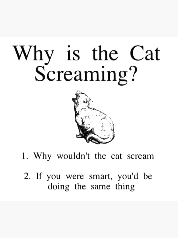 "Why Is The Cat Screaming?" Poster by Ettore13 Redbubble