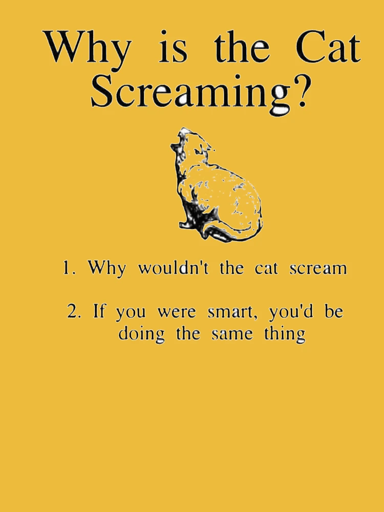 What Does It Mean When A Cat Is Screaming? 