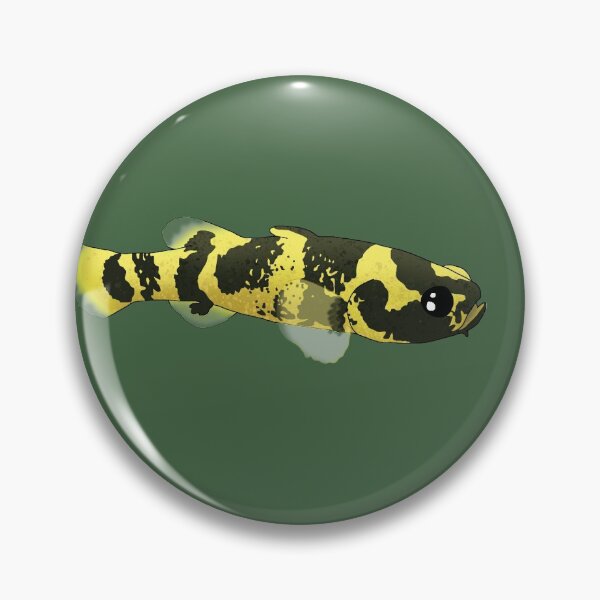 Item preview, Freshwater Bumblebee Goby designed and sold by Moopichino.
