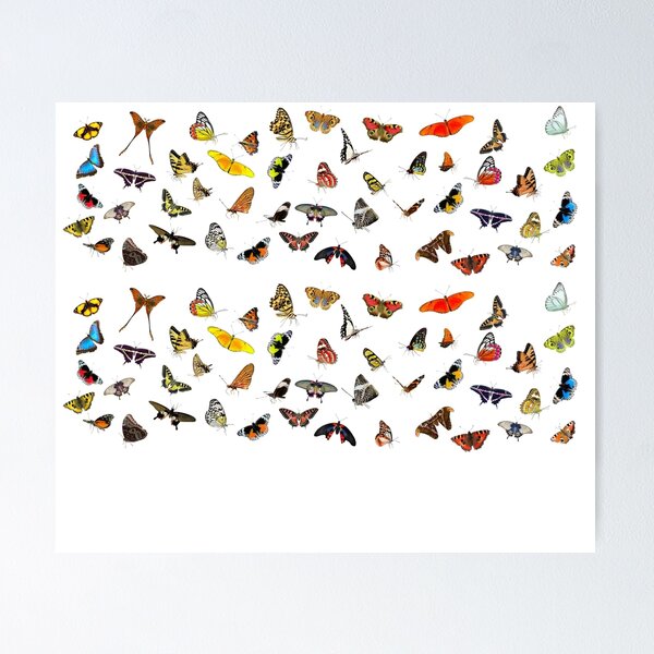 Item preview, butterflies designed and sold by Hurasham.