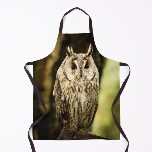 Item preview, Long Eared Owl On Tree Stump designed and sold by Jane Stanley Photography.