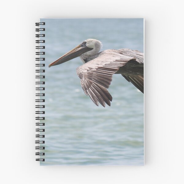 Item preview, Pelican Flight designed and sold by Bob Hardy.