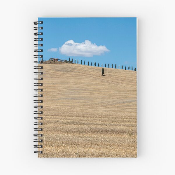 Item preview, Typical summer landscape of Val D Orcia designed and sold by pietrofoto.