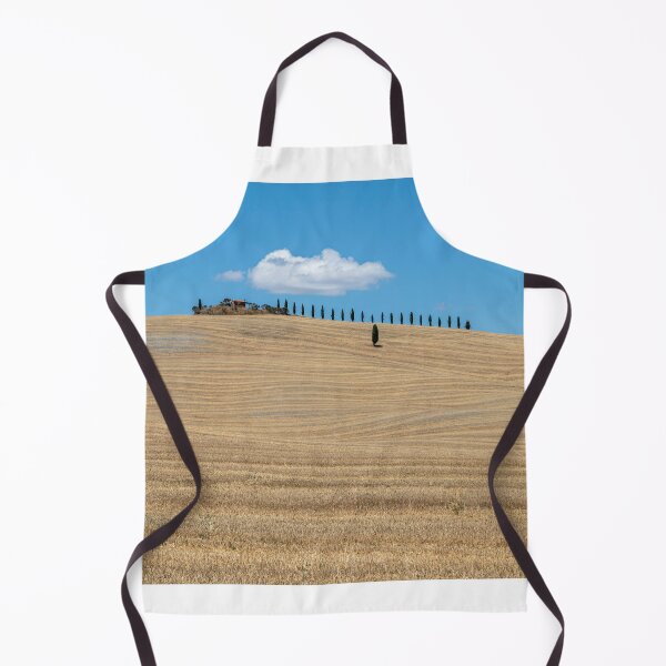 Item preview, Typical summer landscape of Val D Orcia designed and sold by pietrofoto.