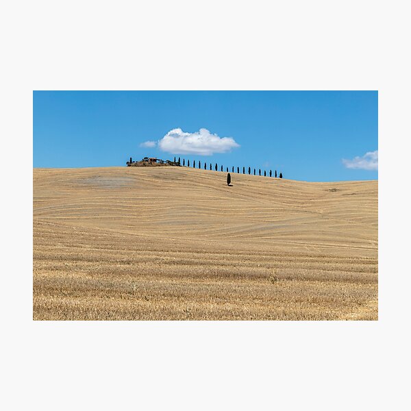 Typical summer landscape of Val D Orcia Photographic Print