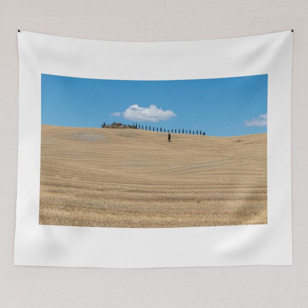 Item preview, Typical summer landscape of Val D Orcia designed and sold by pietrofoto.