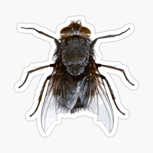 funny Costume Housefly Insect DIY Gift, Ugly Halloween House fly Sticker  for Sale by A7med-Design