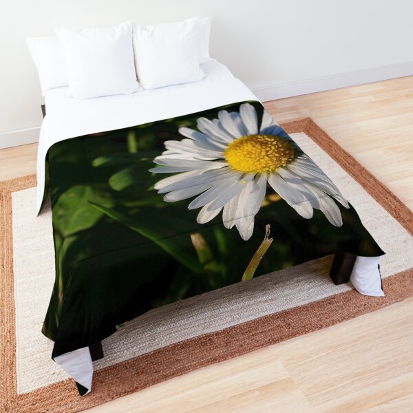 Comforter