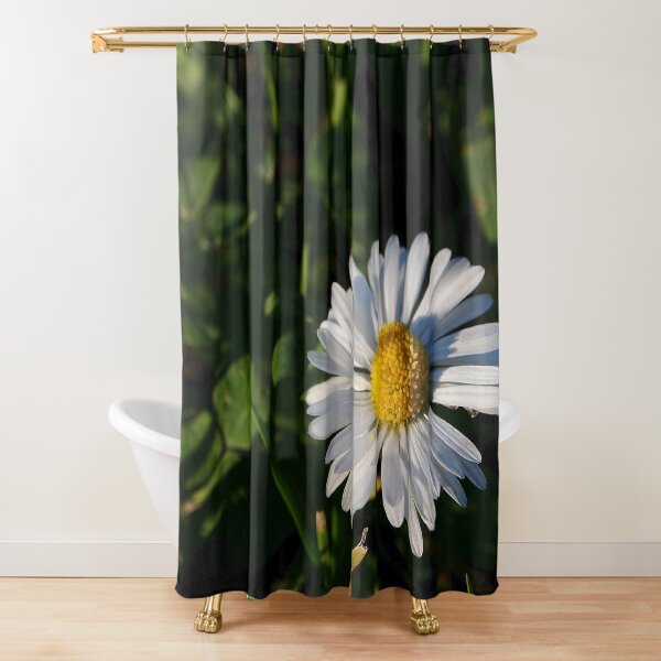 Shower Curtain