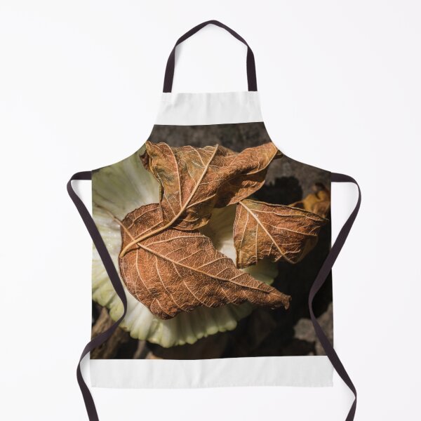 Item preview, Triplicate designed and sold by Jim Love.