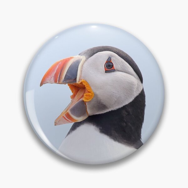 Item preview, Loudmouth Puffin designed and sold by mlorenz.