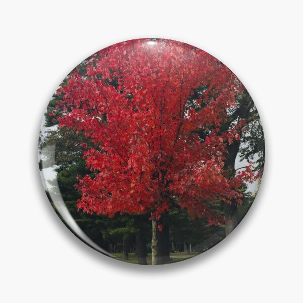 Item preview, Autumn Scenery  designed and sold by RitazMedia.