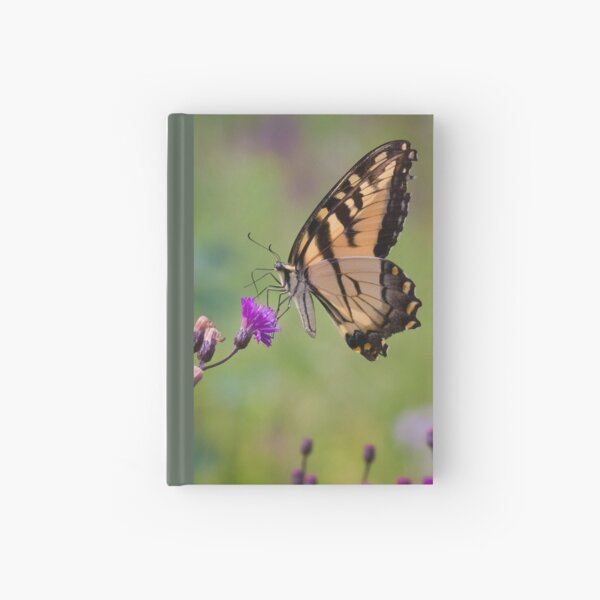 Swallowtail Butterfly Feeding on Tall Ironweed Hardcover Journal