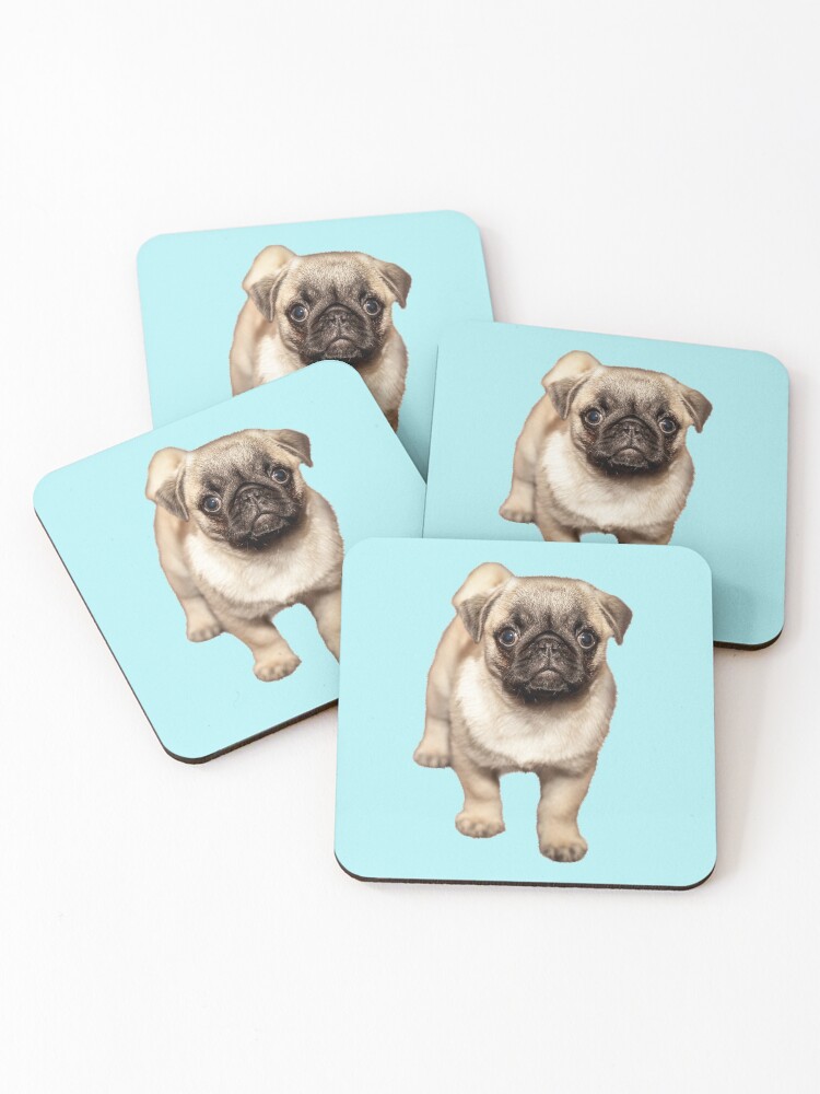 pug coasters