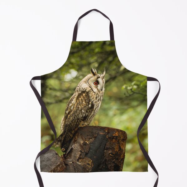 Item preview, Long Eared Owl In Woodland designed and sold by Jane Stanley Photography.