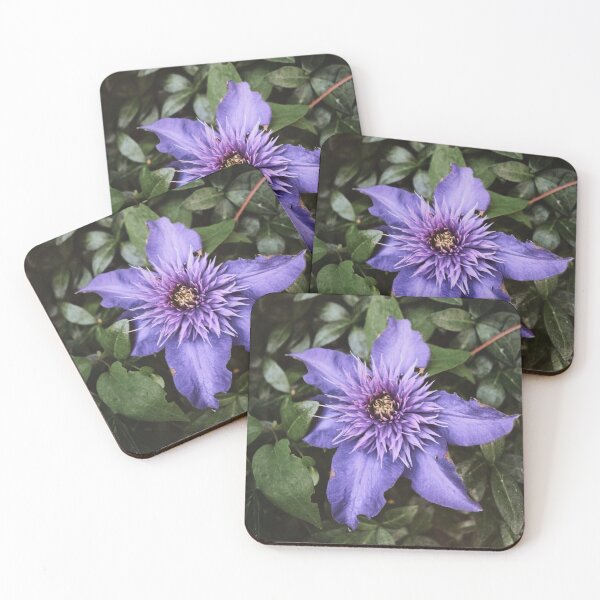 Item preview, Purple Spiky Flower designed and sold by LifeAsGeneration Z.