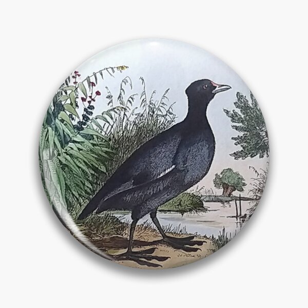 Item preview, Eurasian Coots designed and sold by louisxvpod.