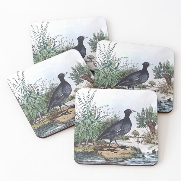 Item preview, Eurasian Coots designed and sold by louisxvpod.