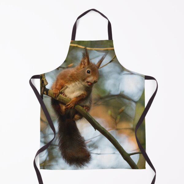 Item preview, Red Squirrel designed and sold by Jane Stanley Photography.
