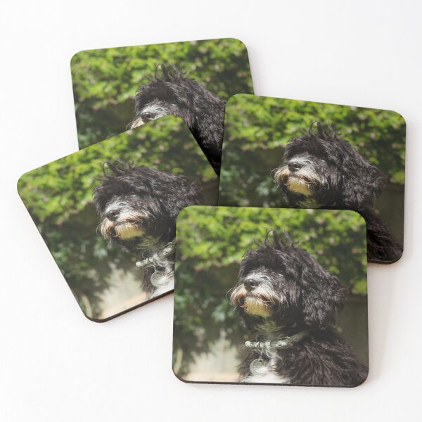 Item preview, Cavapoo Puppy Portrait designed and sold by Jane Stanley Photography.
