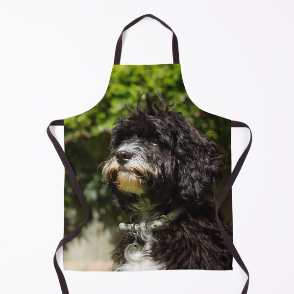 Item preview, Cavapoo Puppy Portrait designed and sold by Jane Stanley Photography.
