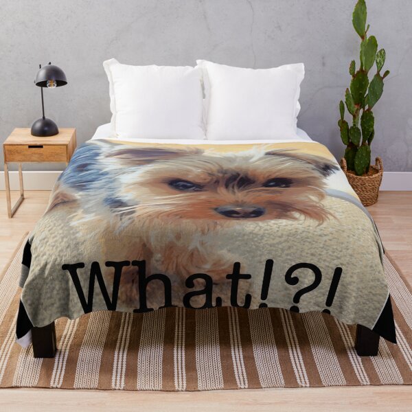 Item preview, Adorablbe Grumpy Yorkie saying What!?! | Cute Yorkshire Terrier Dog Meme designed and sold by Yorkie Love.