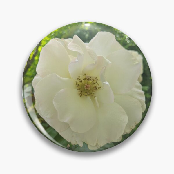 Item preview, Floribunda Rose Flower Original designed and sold by PLANTONE.