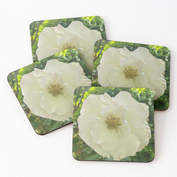Item preview, Floribunda Rose Flower Original designed and sold by PLANTONE.