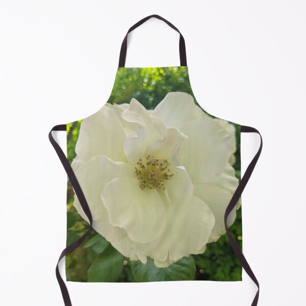 Item preview, Floribunda Rose Flower Original designed and sold by PLANTONE.